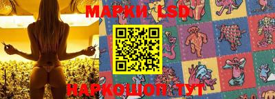 прущие крисы Будённовск