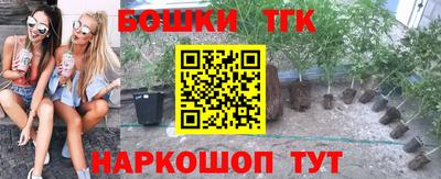 прущие крисы Будённовск